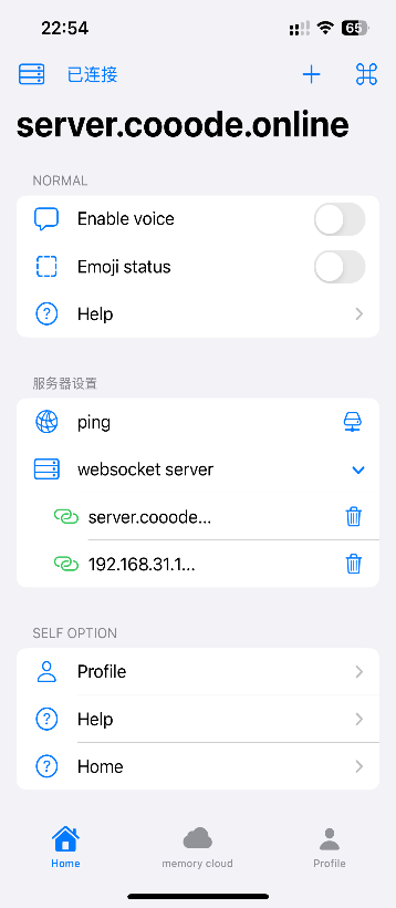 移动端 App 界面：服务器设置、websocket 连接状态与记忆云入口
